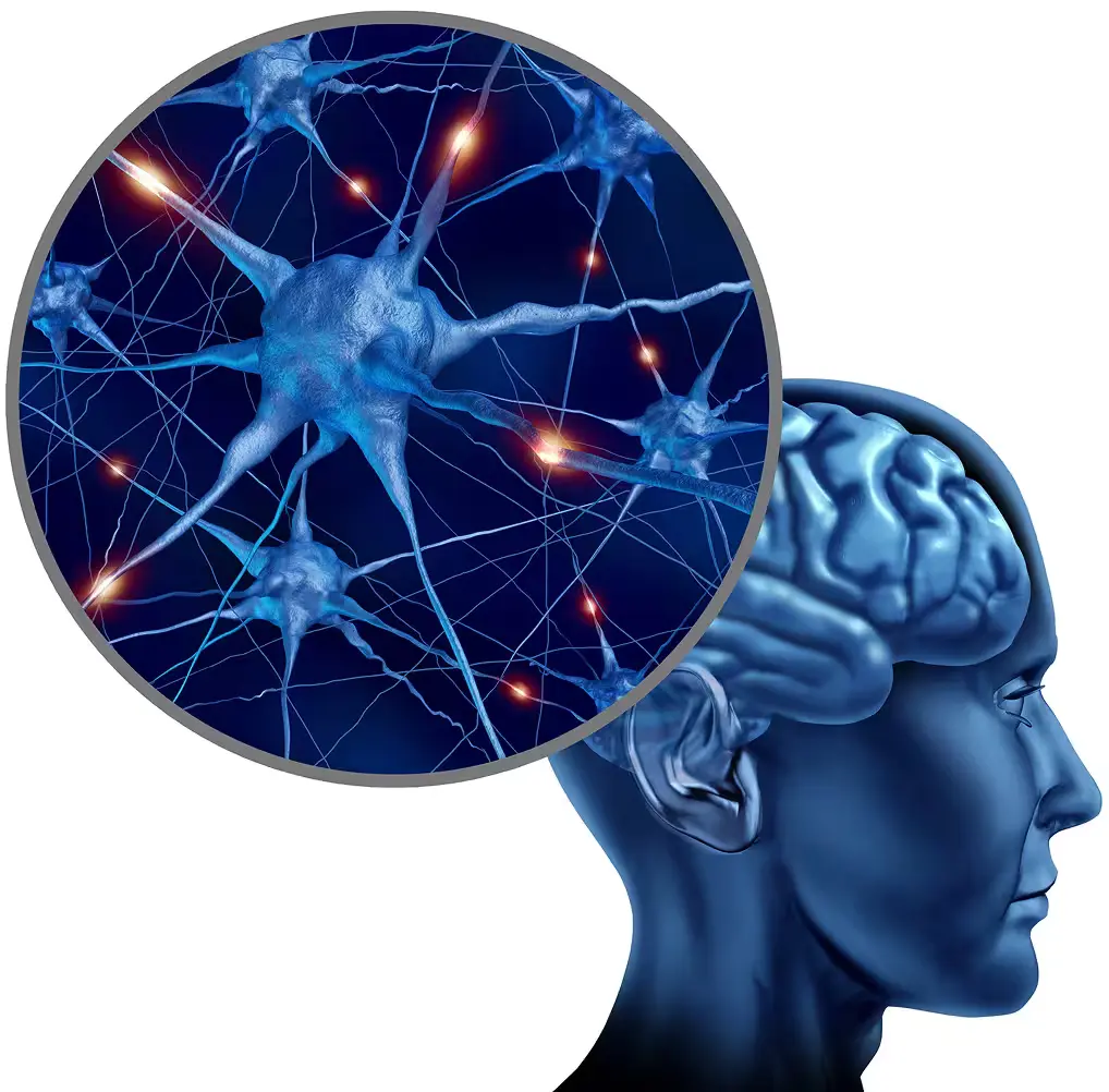 Illustration of neural signalling in the human brain