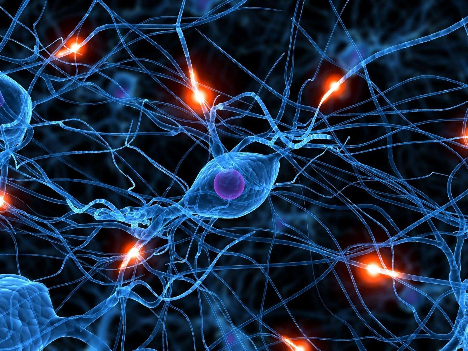 Neurons signalling across a network of connections